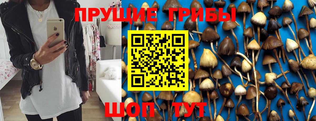 Галлюциногенные грибы прущие грибы  Галлюциногенные грибы MAGIC MUSHROOMS  где купить наркоту  Вход с VPN  Мегион 